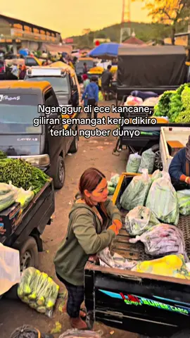 #CapCut #cabai #super #bakulsayur #fyp 