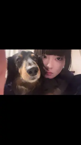 毎日喧嘩してるけど愛してるし愛されてます(ᐡ ̳ᴗ ᴗ)