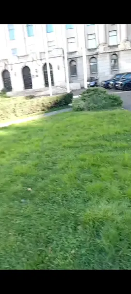 Stegarul Dac la Ministerul Afeceri de Interne - Călin Georgescu Președinte @calin.georgescu.real@GEORGE@calin.georgescu.real@calin.georgescu.real #5pasidebine #credinta #foryoupage❤️❤️ #viralvideos #calingeorgescu2024 