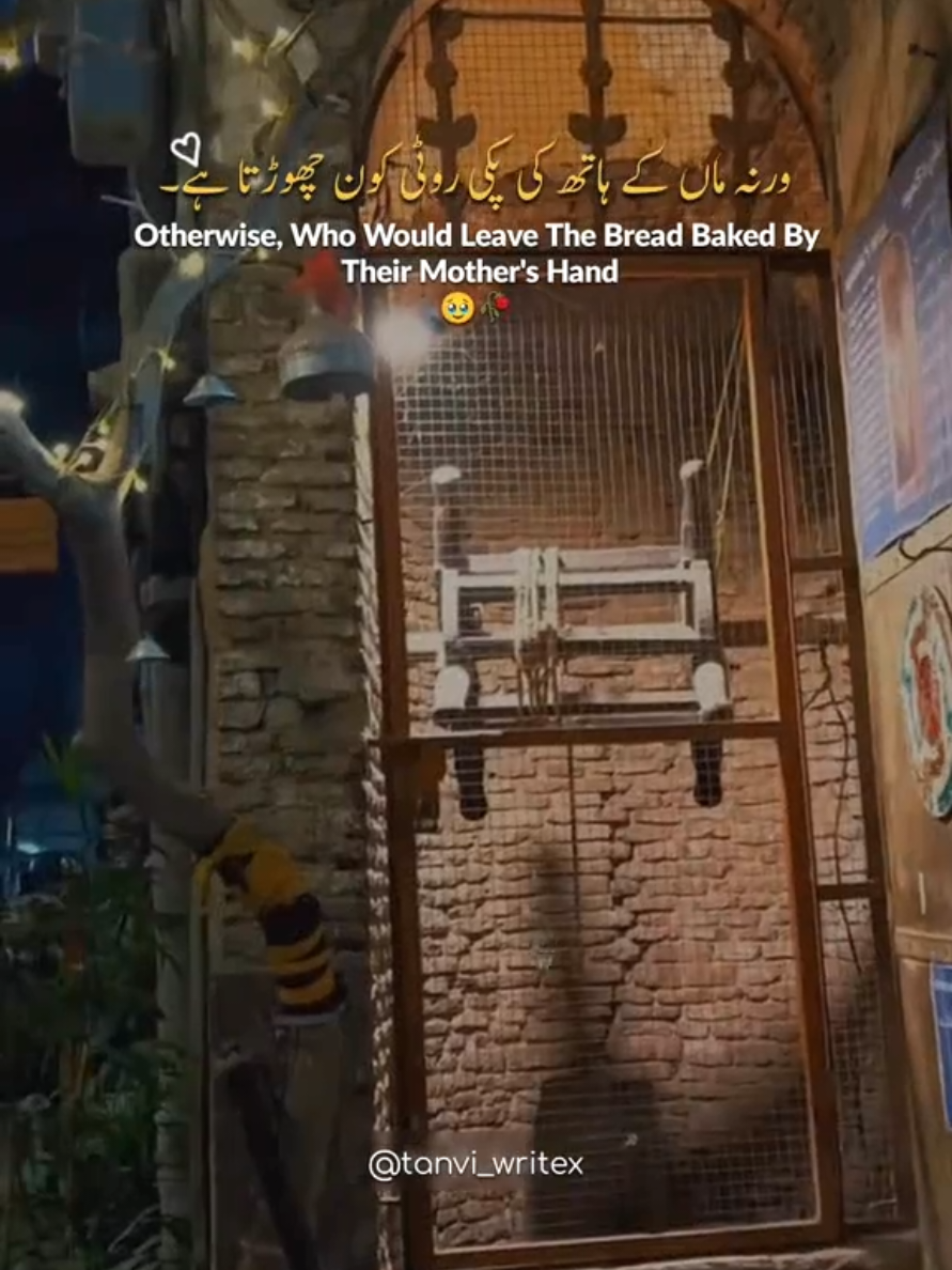 deep Len's 🥹🥀 . . . . . . . . . . . . . #reels #explorepage✨ #reelsinstagram #kaamkibaat #tanvi_writex 