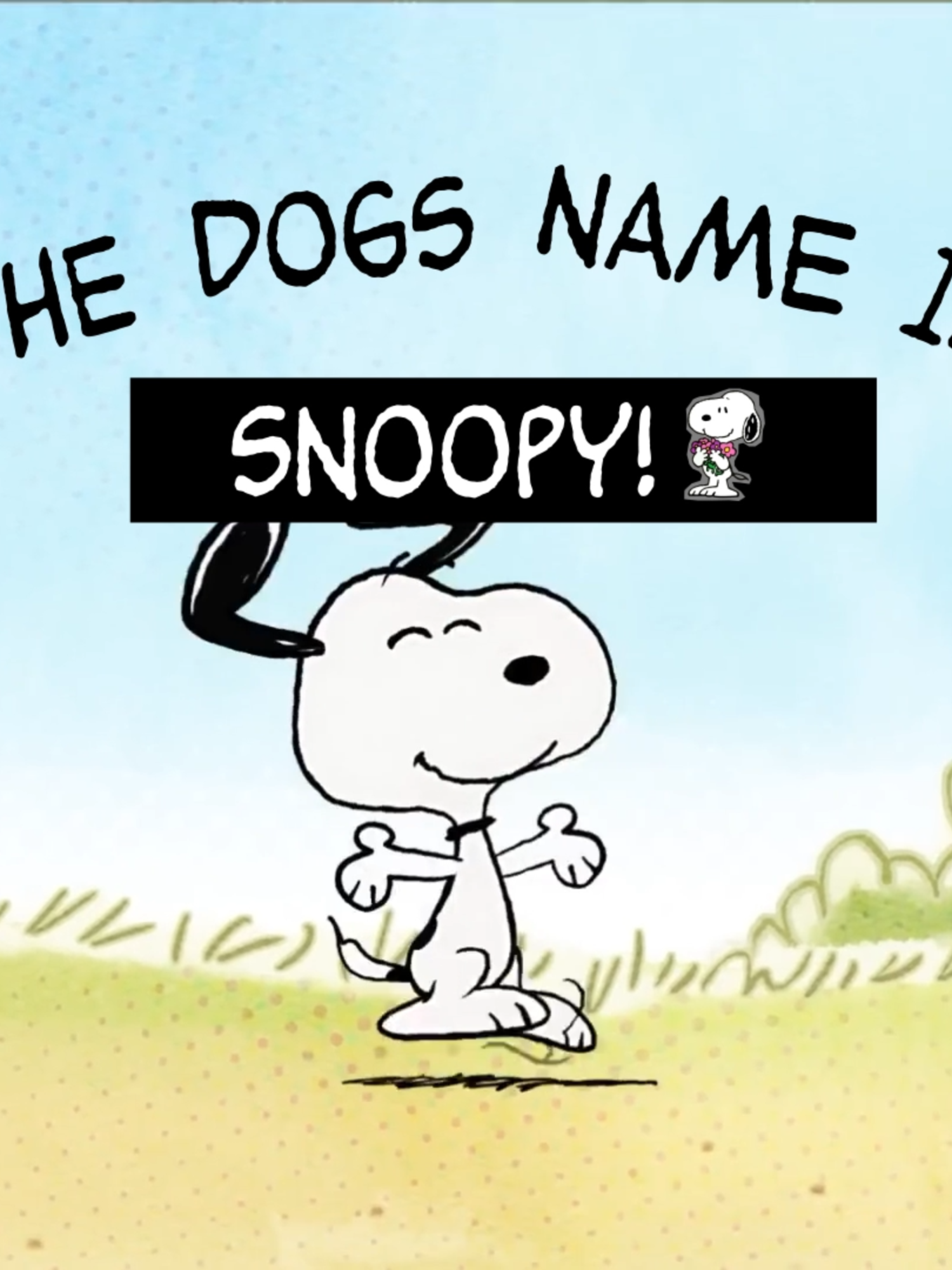 snoooopy.mp4 //#mctd_xl #peanuts #schroeder #fictionalcharacters #snoopy #fyp #edit #charliebrown #shrucy #viral