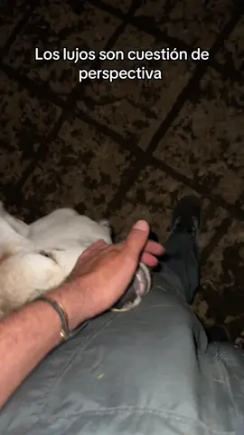 #viraltiktok #tiktokviral #tendencia #vibraspositivas 