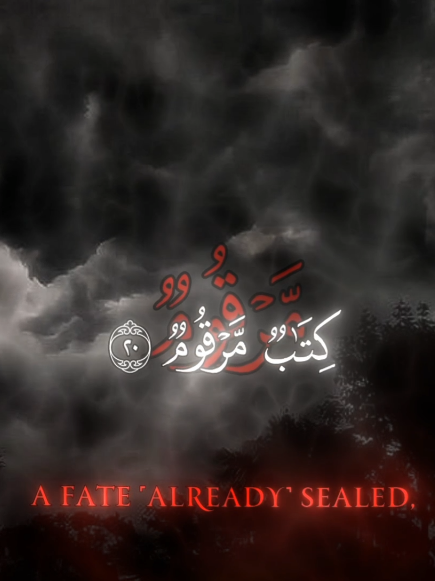 عمير شميم 😴| تلاوة هادئة #عمير_شميم #quran 