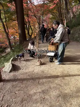 #japan #hiragana #日本語 #kawaii 