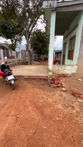 #xuhuongtiktok #xuuuuuuhuongggg #tapxaykenhtiktok 