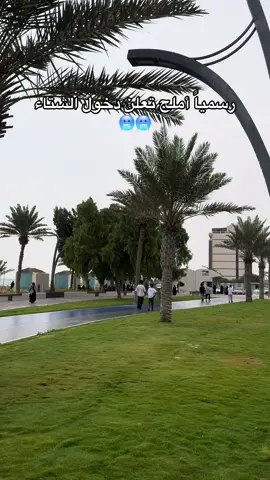 #الشتاء #امطاراليوم #املج 