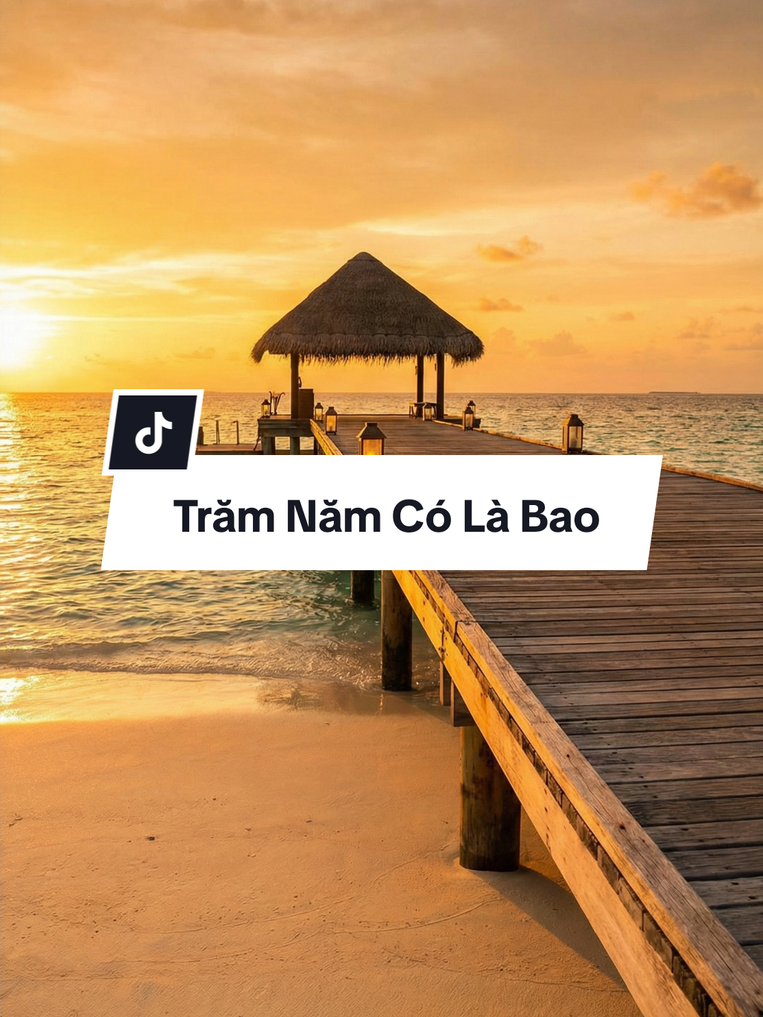 Em ơi trăm năm có là bao.... #nhactinhsaulang #SBKteam 