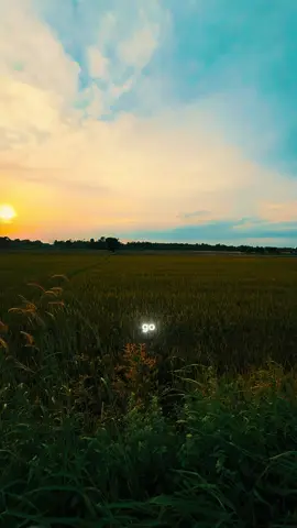 #CapCut Boom boom boom . #radio #boom #capcutpioneer #pioneertemplate 