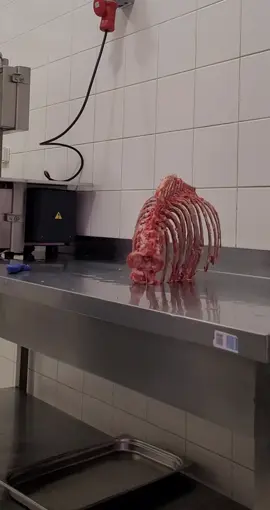 Porcusorul spinos, dar prietenos!