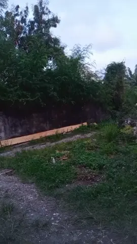 #vidiolucu #hiburan #jangkauanluas #semuaorang 