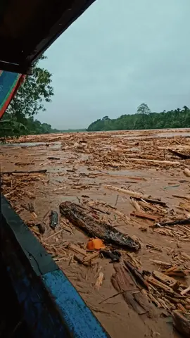 sungai batang toru. perahu kayu#fyp #foryoupage #trending 