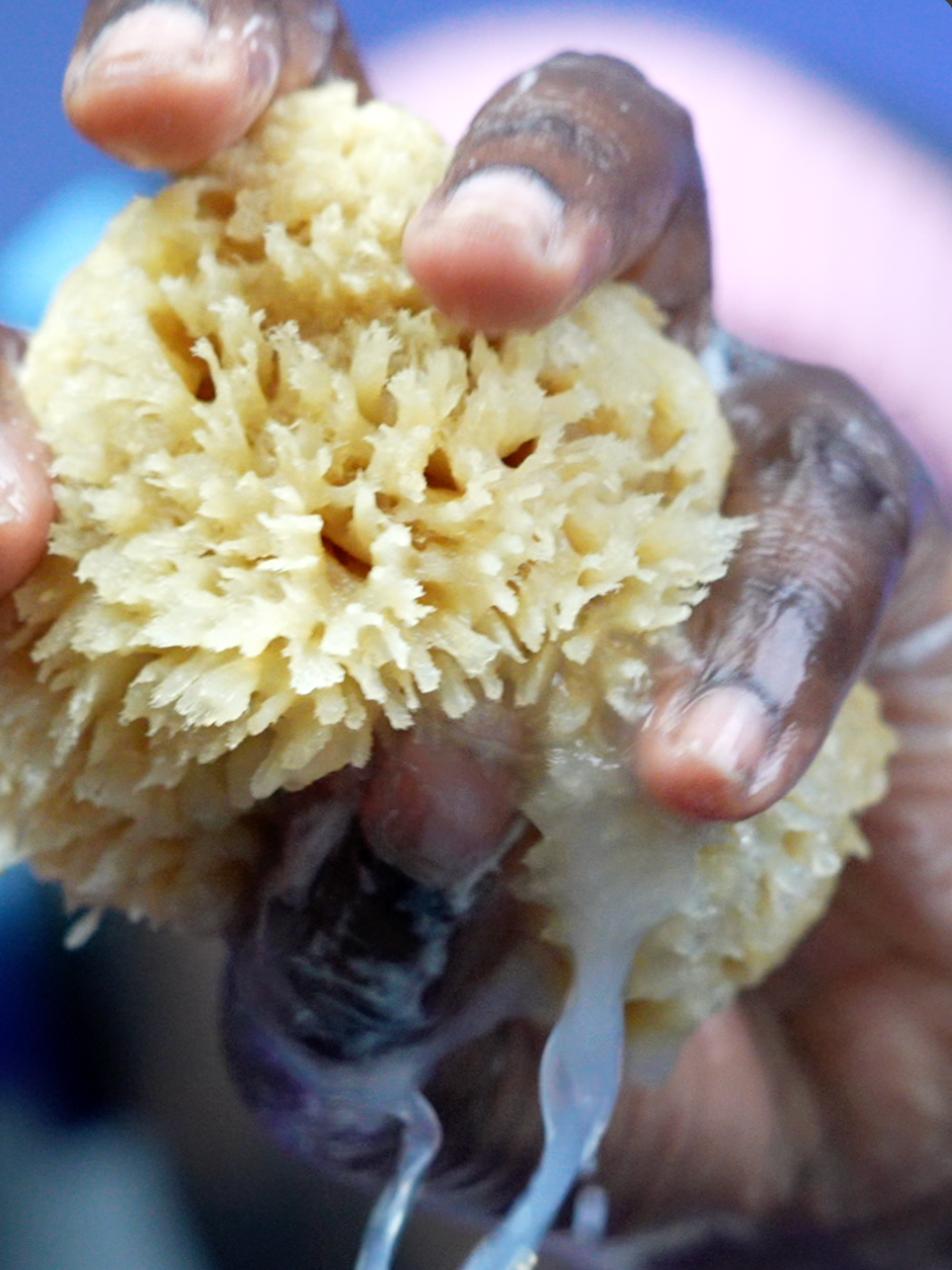 Check out these 100% natural wool sea sponges for shower and bath! I also absolutely love these @aquaphor hand moisturizing gloves. #cozyfinds