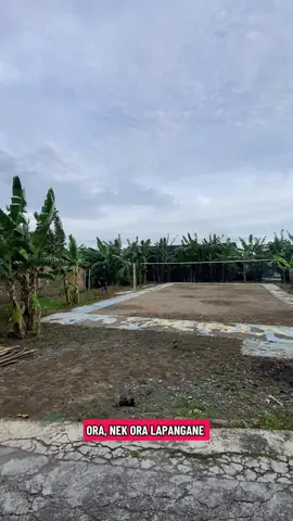 ditanduri gedang ae lapangane😮‍💨 #voliasik #promomakangajian #ammubha 