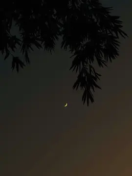 বেইমানি যদি পুরুষরাই করে তাহলে নারী কেনো ঠকে গিয়েও অন্য পুরুষের প্রেমে পড়ে? 🖤✨#vairal_video #Foryou 