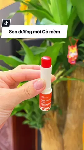 Thành phần hoàn toàn từ thiên nhiên an toàn lành tính mẹ bầu mẹ bỉm yên tâm nha.#mebauxinh #sonmoi #sonduongmoi #comem #mangthai 