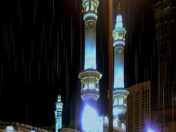 حساب بدون موسيقى ☘️🤍 #فكم_ربيت_أقماراً #راحة_نفسيه💚 #الريتش_في_ذمه_الله💔 #ɴᴏ_ᴍᴜꜱɪᴄ 