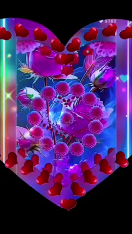 Chào cả nhà, chúc nhà mình buổi tối an yên 😍