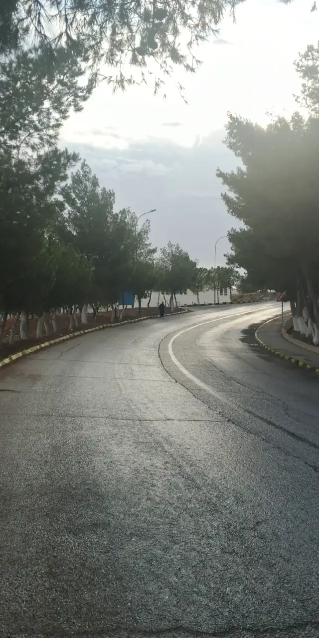 #جامعة_مؤته #الاردن🇯🇴 #شعب_الصيني_ماله_حل😂😂 #foryou #الكرك 