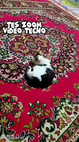 Zoom video malam hari, 2k 30fps  #TECNOIndonesia #TECNOFansIndonesia #tecnocamon40 #foryou #insyaallahfyp @TECNO Indonesia Store @TECNO Kalimantan 