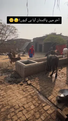 I have faced many difficulties in Pakistan 🥺#spiderman #fypviraltiktok #1000millionsviews #deartiktokteamunfreezmyaccount #ukcomedy 