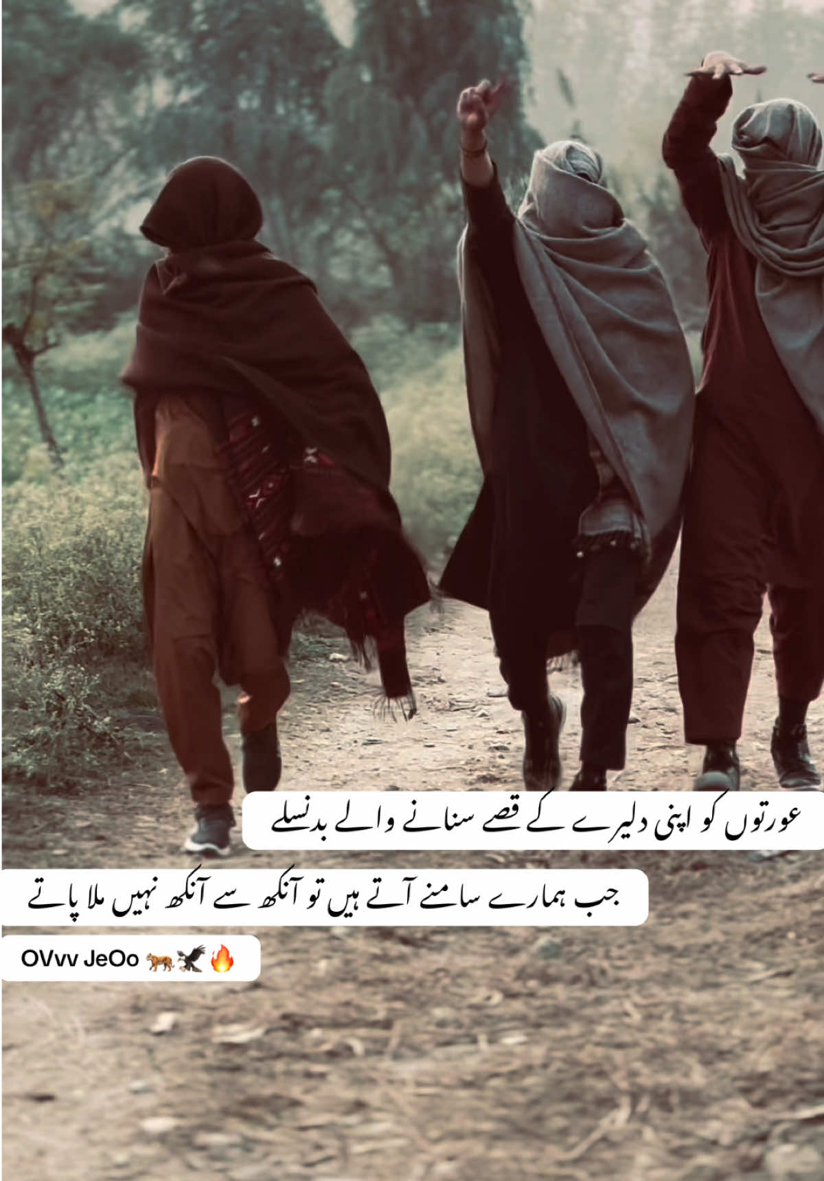 ZMa rOrna 🐅🦅🔥#afaqjani #pkhtoon #fyp #viral 