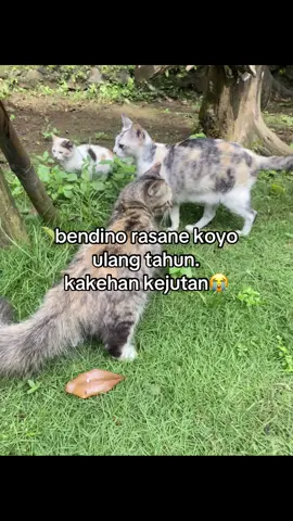 #xyzabc #fypシ゚ #foryoupage 