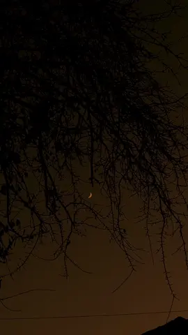 یہ دنیا بڑی عجیب جگہ ہے یہاں چہرے بدلتے ہیں، لہجے بدلتے ہیں، وعدے بدلتے ہیں، اور سب سے زیادہ لوگ بدلتے ہیں، یہاں لوگ حقیقت سے زیادہ دکھاوے پر یقین رکھتے ہیں، سچ سے زیادہ جھوٹ پر،محبت سے زیادہ مفاد پر، اور خلوص سے زیادہ دھوکھے پر..#foryou #viralvideo #foryoupage #asthetic #zyn6t9 @luci @Hasnain Butt 