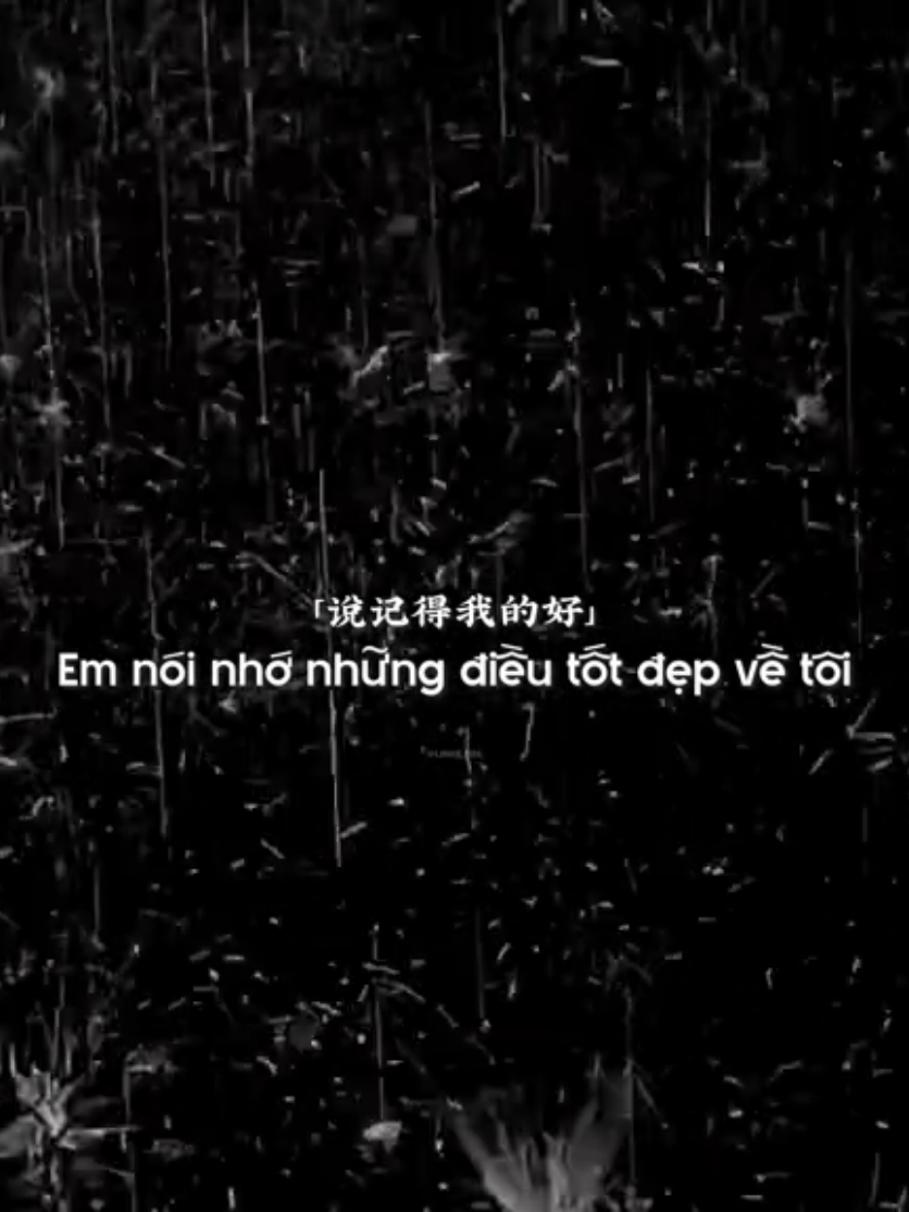song: nếu như - Trịnh Nhuận Trạch #trinhnhuantrach #nhactrung #douyin #xuhuong #tnlcorner 