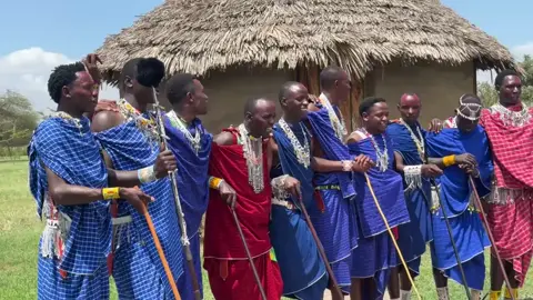 #servalwildlife🦁🦒🦓🦌🐒 #nyangulorepublic❤️ #🐄metai #💟💟💟💟 