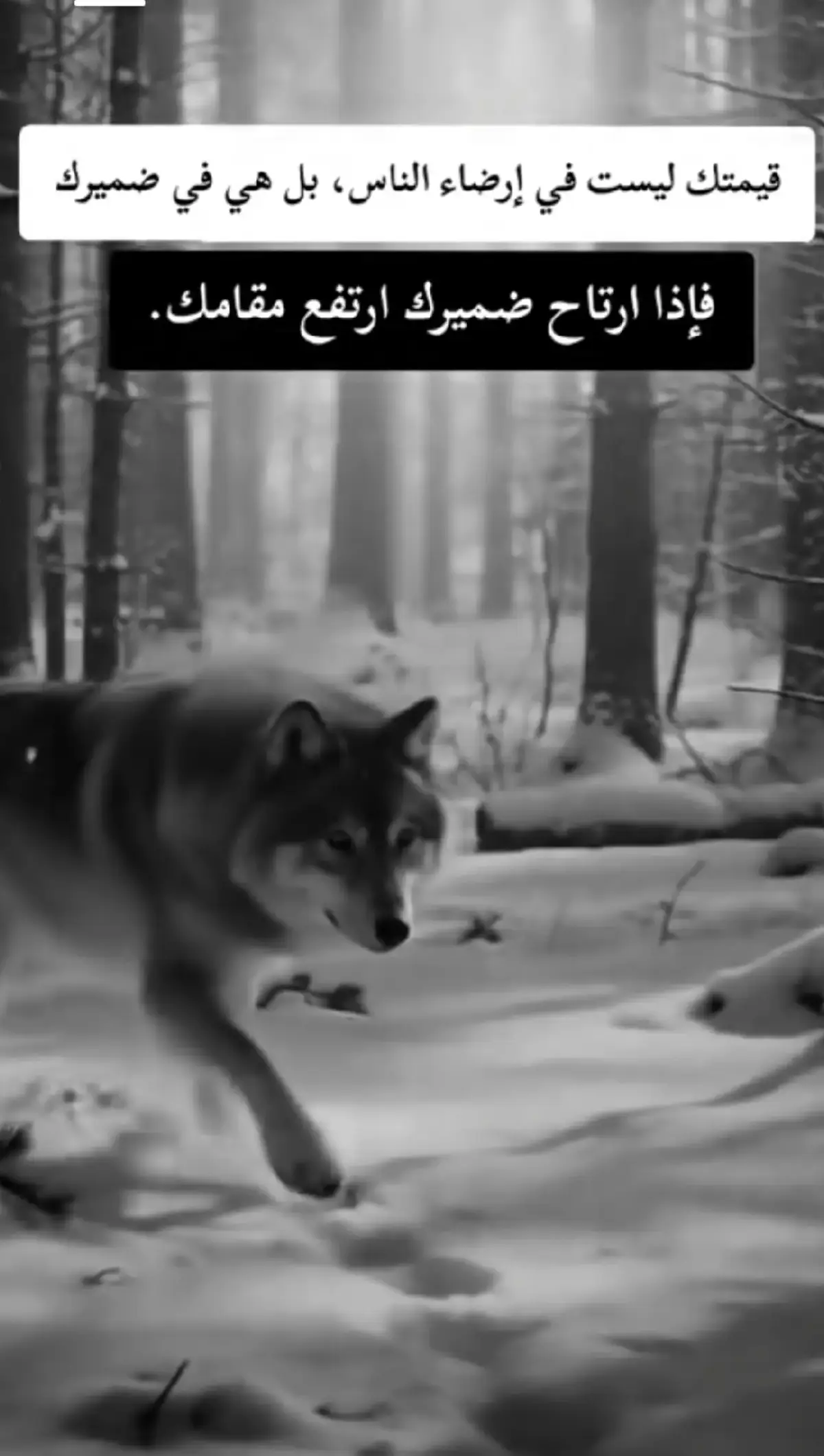 #فولوــــــــــــــــ_متابعه_ــــــــــــــــــــاكسبلور #عبارات_جميلة_وقويه😉🖤 #تصميم_فيديوهات_اقوي #اكسبلورexplore 