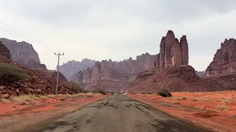 الديسه اليوم 🤩❤️#fypage #اشواق #فولوو #لايك__explore___ #الديسه #الشمال 