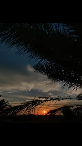 زينب يهل زينب تعبه الزمن #تصويري_احترافي_الاجواء👌🏻🕊😴 #حيدر_الفريجي #السيده_زينب_عليها_السلام #الامام_علي_عليه_السلام♡ #الامام_الحسين_عليه_السلا 