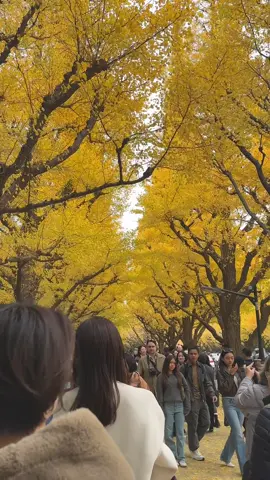 Lost in autumn colors🍂⛅️#fyp 