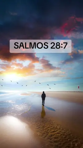 Bom dia! @ecunhad #bomdiaespiritosanto #bomdia #salmos28_7 #Deus 