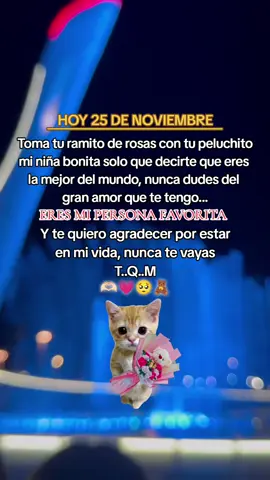 25 DE NOVIEMBRE 🫶🏻💗🥺🧸 #diaderegalarpeluchitos #25denoviembre #etiqueta #paratiiiiiiiiiiiiiiiiii #miniñabonita 