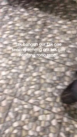 elek o barange dewe😚#glcepekhits #4u #herex #fyp #glkotak #glgank🤙 #geel 