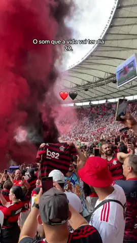 Flamengo❤️🖤 #flamengo  #libertadores  #final 