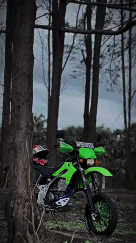 දන්නවද පොට් එක 🌝💚#chilaw #fvpシ #foryourpage #viral #dtracker 