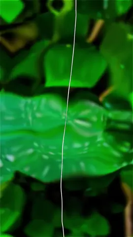 refos kena sb😌 #jj60fps #jj120fps #smoot #hd #hightquality #fyppppppppppppppppppppppp #4u #beranda #plowers