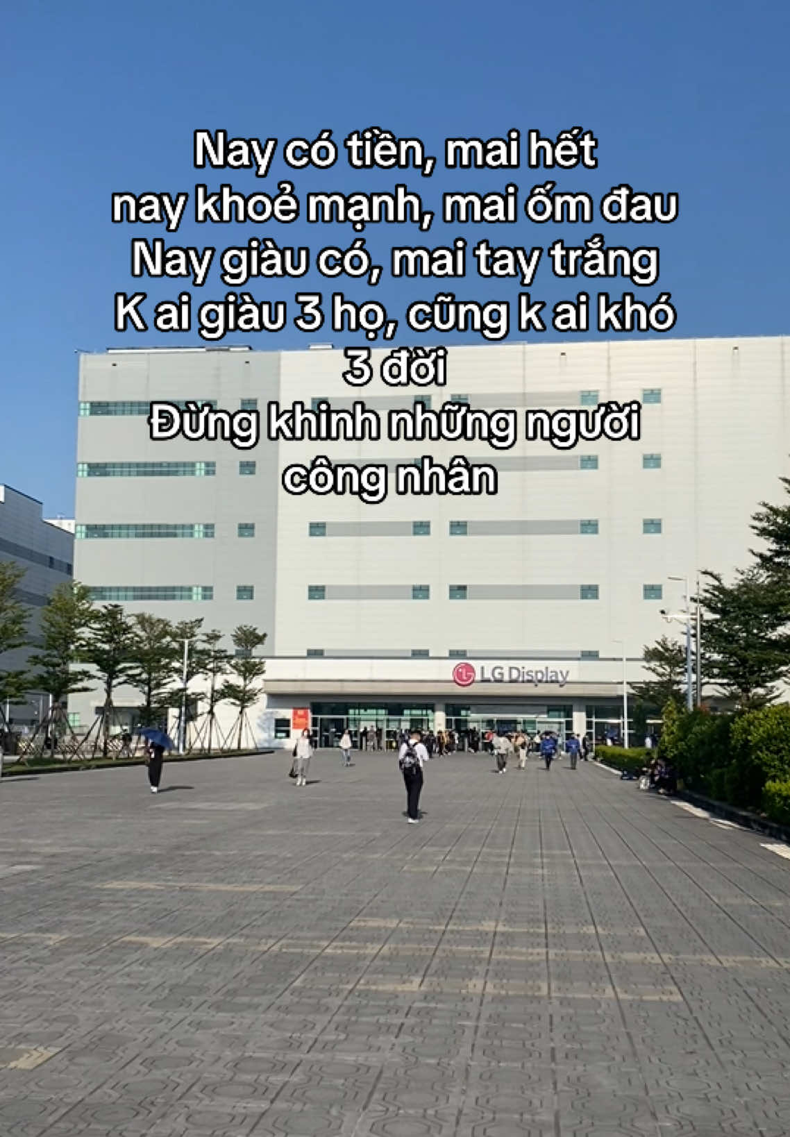 Cuộc đời k ai nói trước được điều gì. Cứ sống hết mình, lao động chân chính nhất định bạn sẽ có được trái ngọt xứng đáng #lgdisplay_vietnam_haiphong #tuyendung #congnhan #viral #fyp 