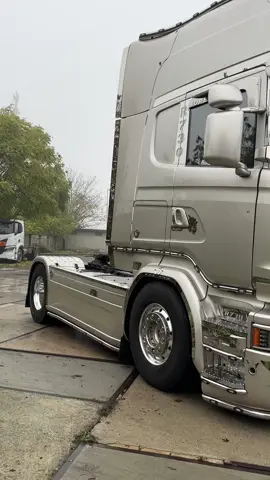 Sei il mio cavallo da battaglia 😈