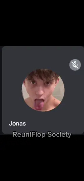 entrevista de trabalho parte 4, #foryou #viraltiktok #meetinvasao #invasao #meet @Rafaella Justus 