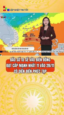 Bão số 15 sẽ mạnh cấp 11 và có diễn biến phức tạp #xuhuong #tintuc #thoitiet #baoso15 #mientrung 