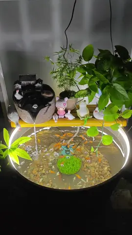 Bình yên thư giãn bên hồ cá #denled #trangtri #phukienhoca #beca @Thủy Sinh Giản Đơn 