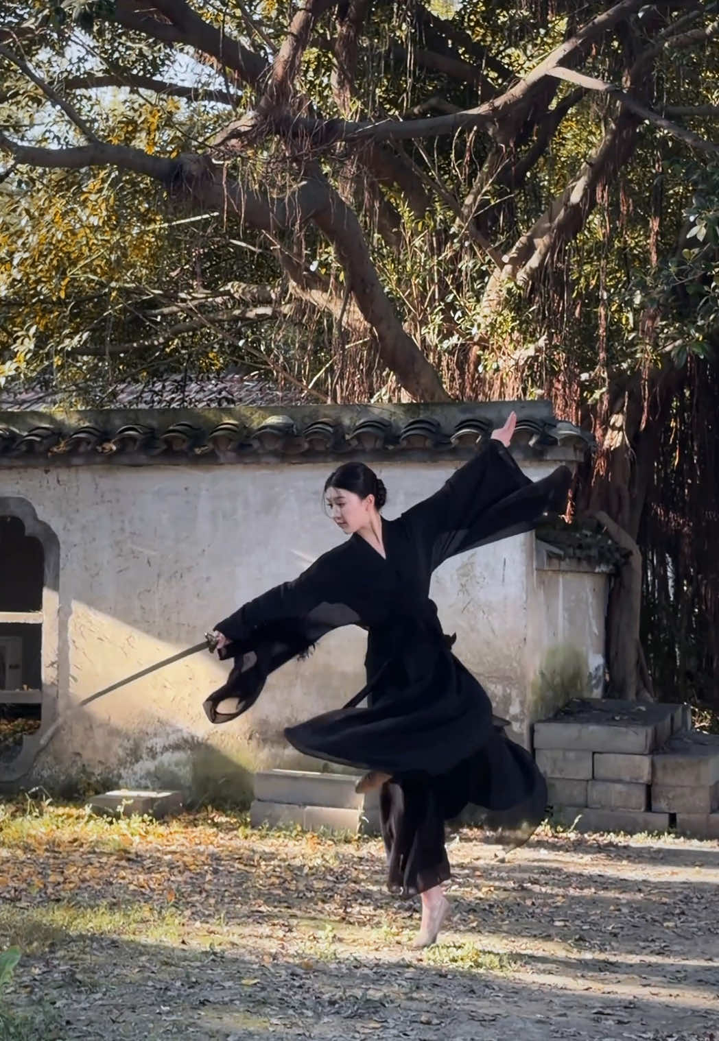 落了白 #中国舞 #剑舞 #chinesedance #SwordDance 