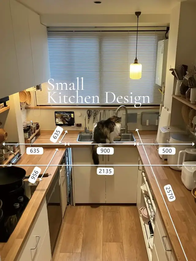 Small Kitchen Design Idea 💭🍀💖 #interiorinspo #kitchendesign #interiordesign #smallkitchen #warmvibes 