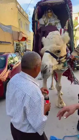 #explore #tiktokindia #for 