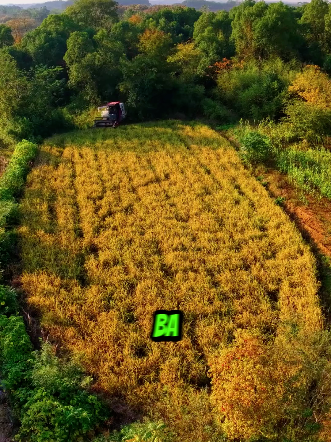 Tag người mà bạn thấy giống vào đây đi #baihoccuocsong #trietlysong #suthat