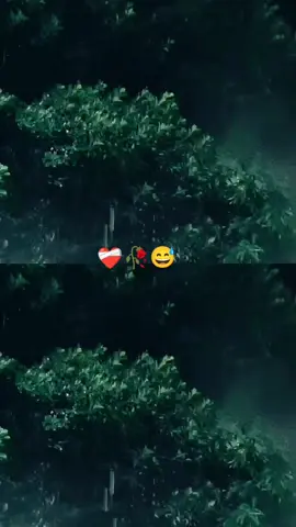 #rohimvai1971 হাইরে জীবন 