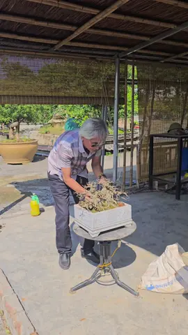 chỉ sợ nhầm thôi.kk